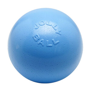 Jolly Bounce-n-Play Blueberry L – Jolly Pets