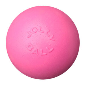 Jolly Bounce-n-Play Bubblegum L – Jolly Pets