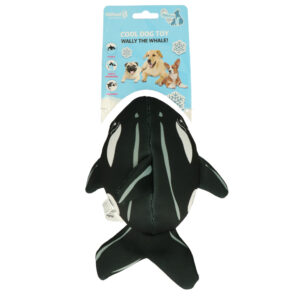 Baleine rafraîchissante – CoolPets