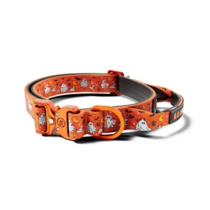 Collier Halloween pour Chien 2,5 cm Lighter Combat® BooBillows Orange – BullyBillows