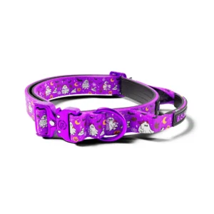 Collier Halloween Violet pour Chien 2,5 cm Lighter Combat® BooBillows – BullyBillows