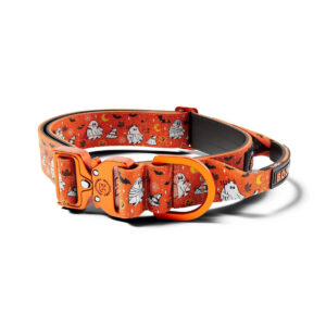 Collier Halloween Orange pour Chien 4 cm Lighter Combat® BooBillows – BullyBillows