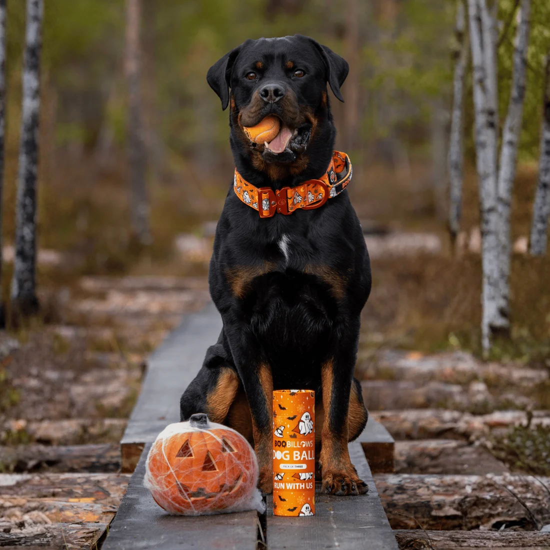 Balles de Tennis Halloween pour Chien BooBillows – BullyBillows – Image 2